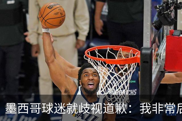 墨西哥球迷就歧视道歉：我非常后悔，已辞去工程师协会职务